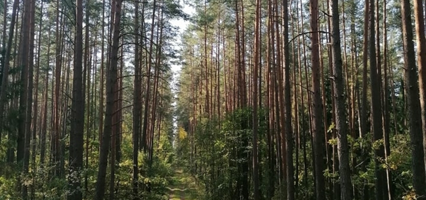 Palydėjome vasarą ir pasitikome rudenį Šakarvos miške