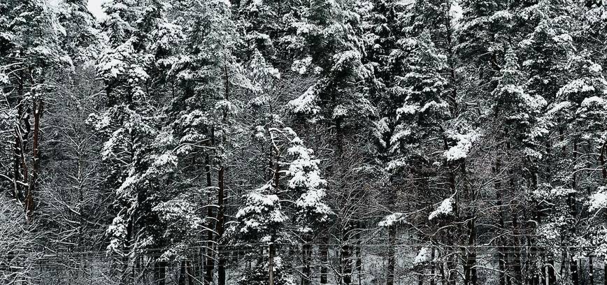 ❄️ Naujausia informacija Lietuvos Žiemos Sporto Centro lankytojams❗️