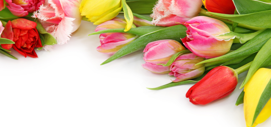 Mother's Day in Ignalina district