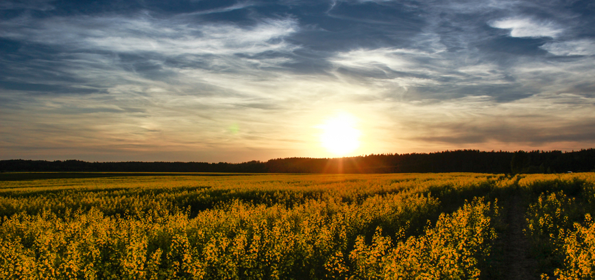 Игналинское туристическое сообщество поддерживает Украину