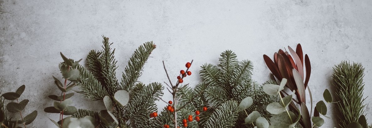 Opening hours during the holiday period