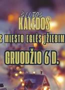 ŠILTOS KALĖDOS Ignalinos miesto eglės įžiebimo šventė 2025 m.