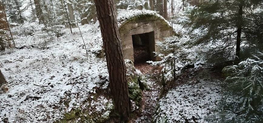 Istorijos naktis: žygis automobiliais ir pėsčiomis I-ojo pasaulinio karo pėdsakais