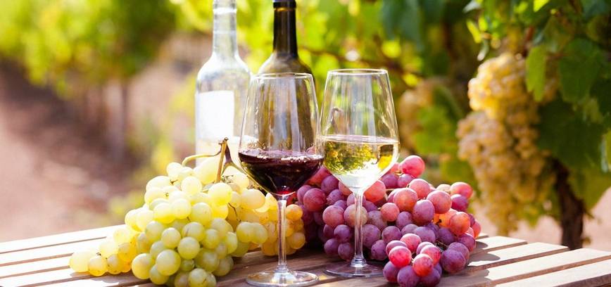 Jauni ir puikūs vynai iš Prancūzijos