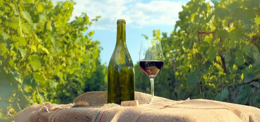 Atvira pažinimo popietė. Kelionė po Prancūzijos vynų pasaulio kvapus