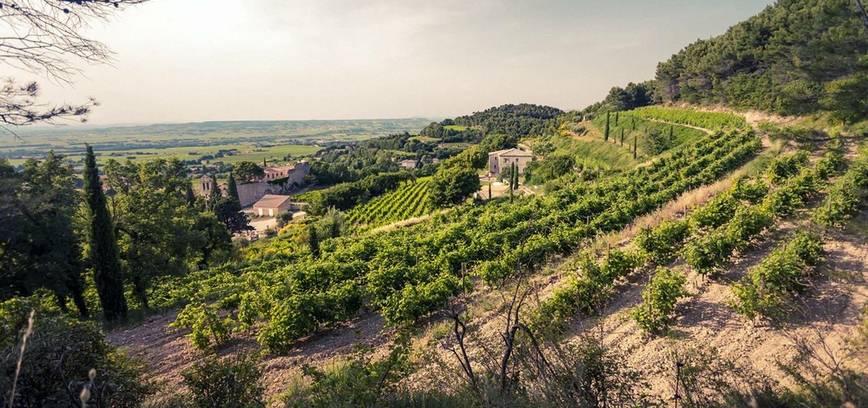 Neatrasta Prancūzija! Reti ir mažiau žinomi vynai