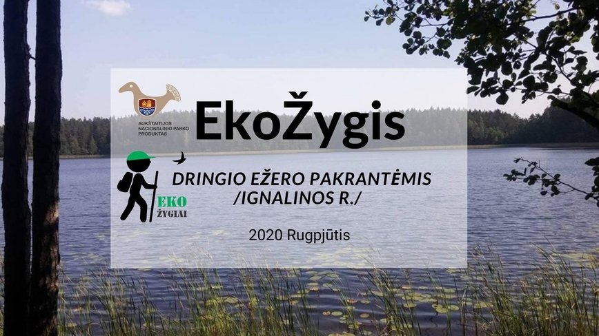 EkoŽygis Dringio ežero pakrantėmis /Ignalinos r./