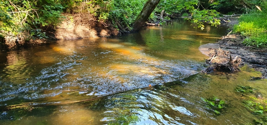River Hiking Lt žygis 