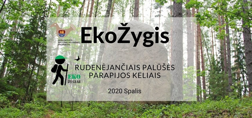 Eco hike on the autumn roads of Palūšė parish