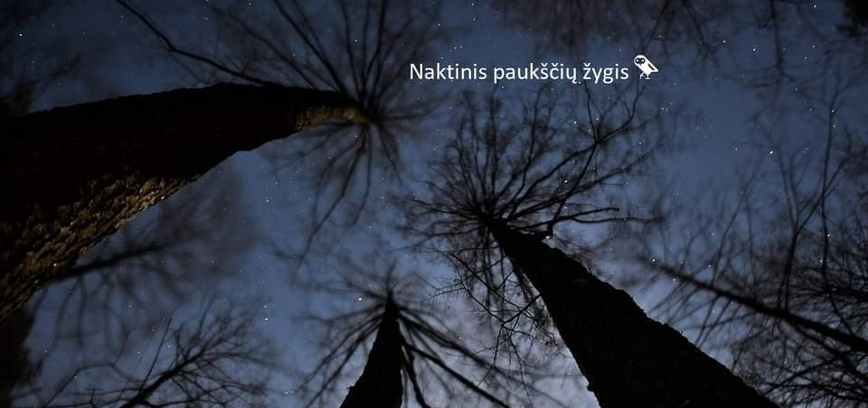 Ночной поход за птицами