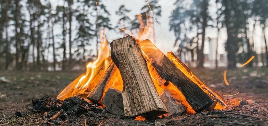 Joninės Paliesiaus dvare