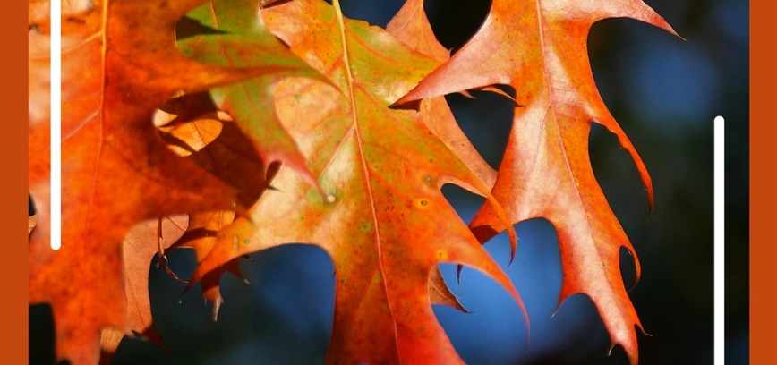 Mažylių skaitykloje edukacija 
