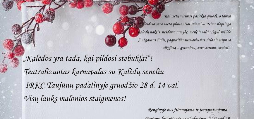 Teatralizuotas karnavalas su Kalėdų seneliu