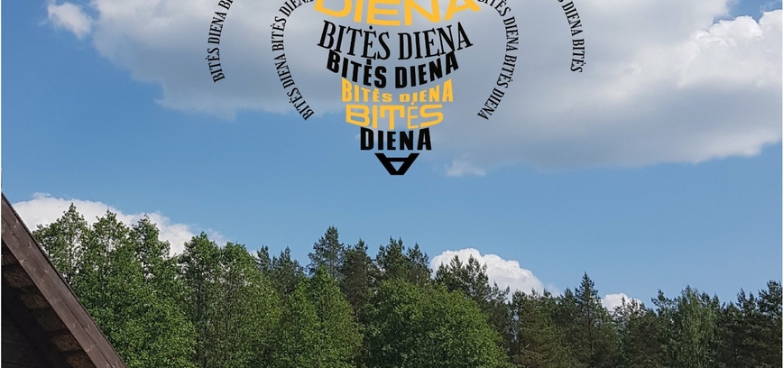 BITĖS DIENOS TALKA