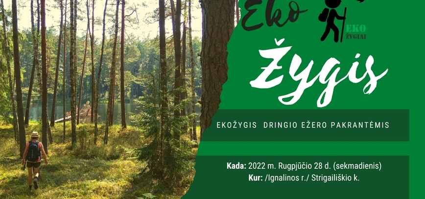 EkoŽygis Dringio ežero pakrantėmis