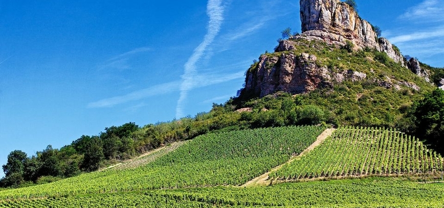 Burgundijos vynų pažinimo vakaras