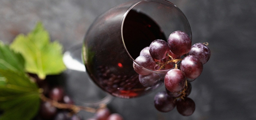 Bordo raudonųjų vynų pažinimo vakaras: Kairysis krantas