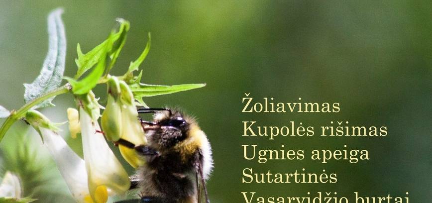 Rasų šventė Bitininkystės muziejuje