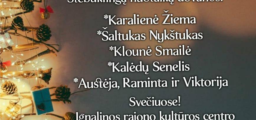 Kalėdų eglutės įžiebimo šventė Vidiškėse 