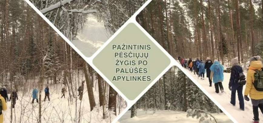 Pažintinis pėsčiųjų žygis po Palūšės apylinkes 