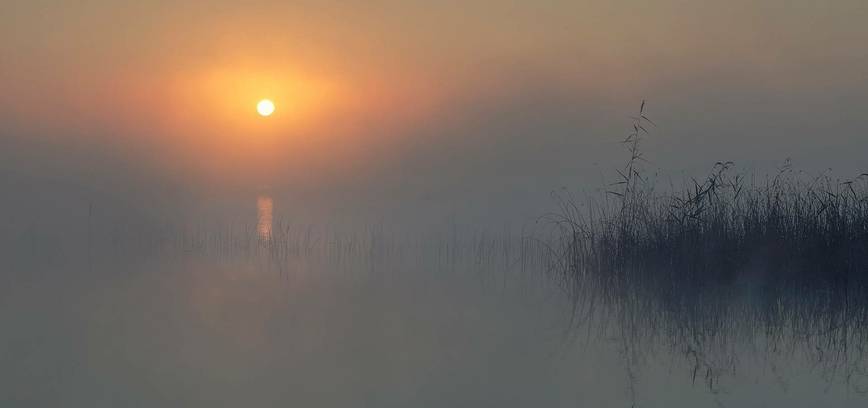 Fotoparoda „Vasarojanti provincija“ Paliesiaus dvare