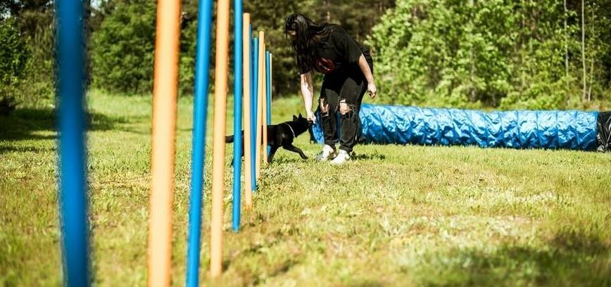 Nemokamas agility renginys su šunimis