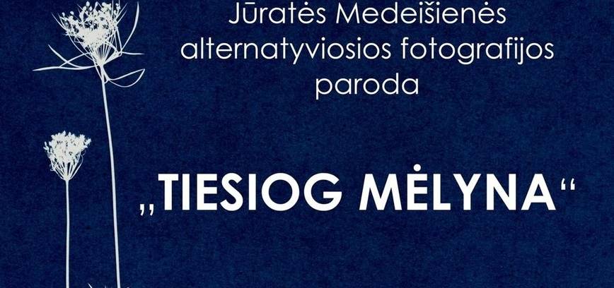 Jūratės Medeišienės parodos 