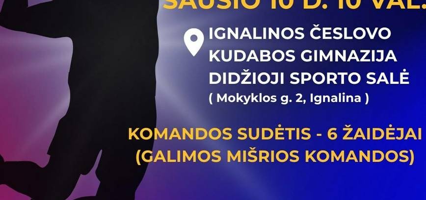 Naujametinis tinklinio turnyras