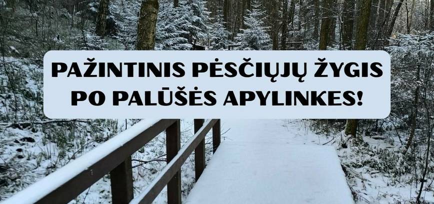 Pėsčiųjų žygis po Palūšės apylinkes