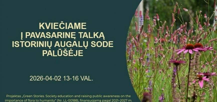 Pavasarinė talka istorinių augalų sode Palūšėje
