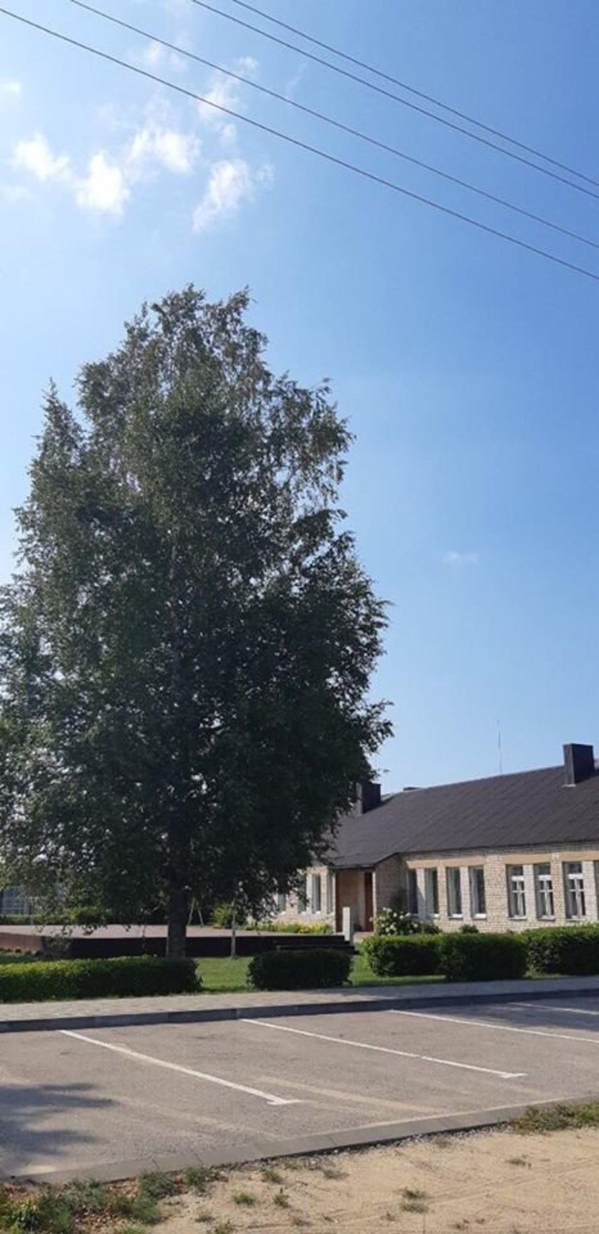 Dysnos viešosios bibliotekos renginiai sausio mėn.