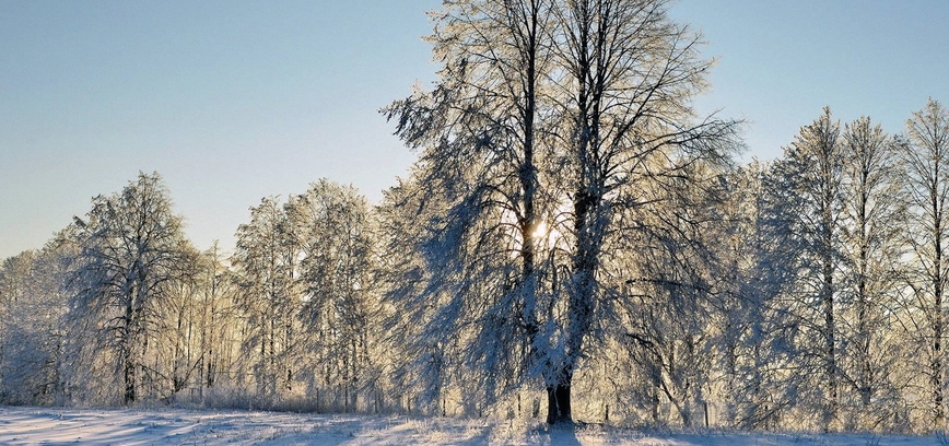 Padėkos vakaras „Tu ateik į pasimatymą“ Rimšėje