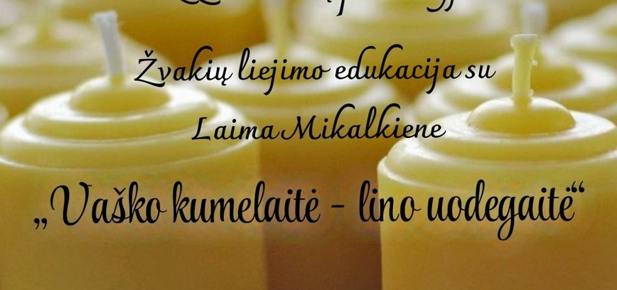 Vidiškės: Ausbildung 