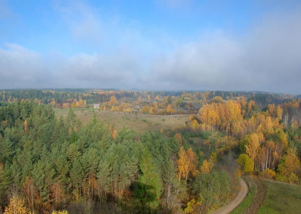 10 km žygis po Ceikinių apylinkes