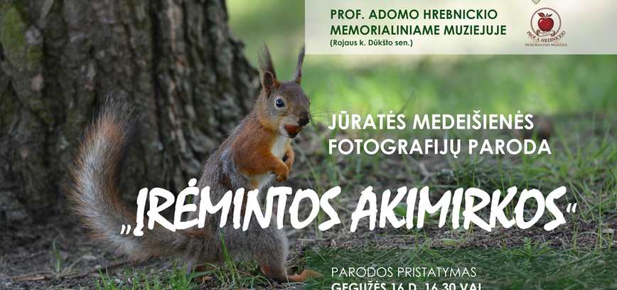 Jūratės Medeišienės fotografijų paroda „Įrėmintos akimirkos“