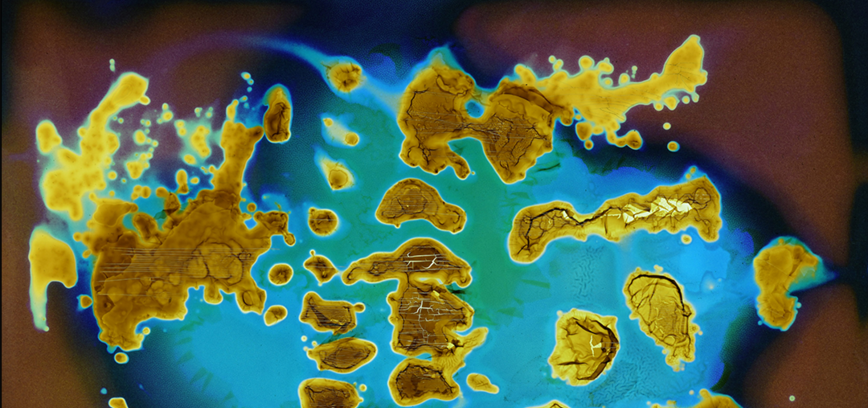 Lino Jonušo fotografinės tapybos paroda „(NE)FOTOGRAFINĖ ABSTRAKCIJA“