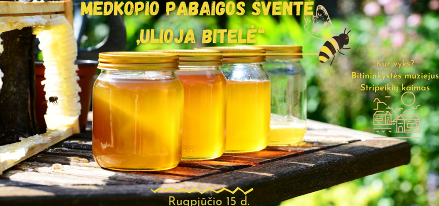 Medkopio pabaigos šventė 