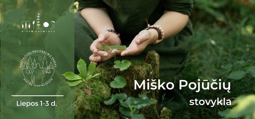 Miško pojūčių stovykla