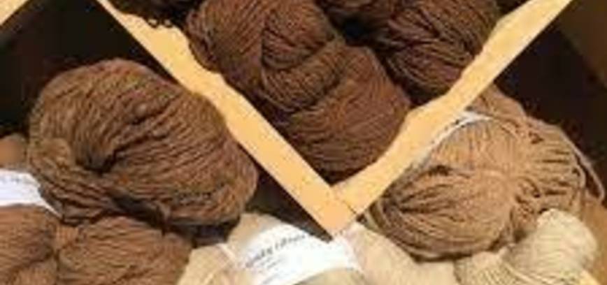 Vaikų darbų paroda „Vilnos ir popieriaus draugystė“ Dysnuose