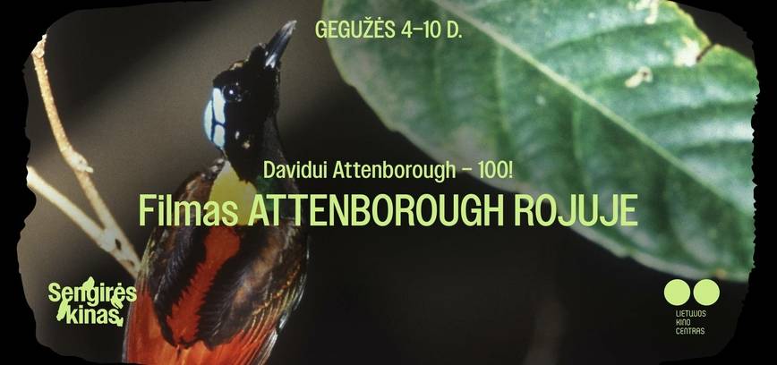 Dokumentinis filmas „Attenborough rojuje“