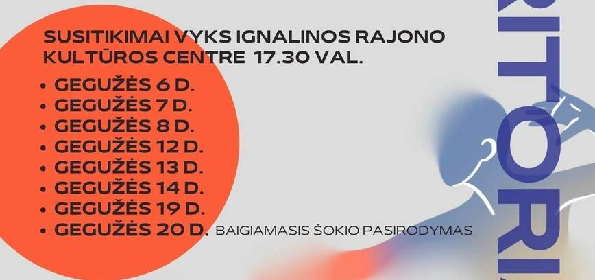 Šiuolaikinio šokio stovykla