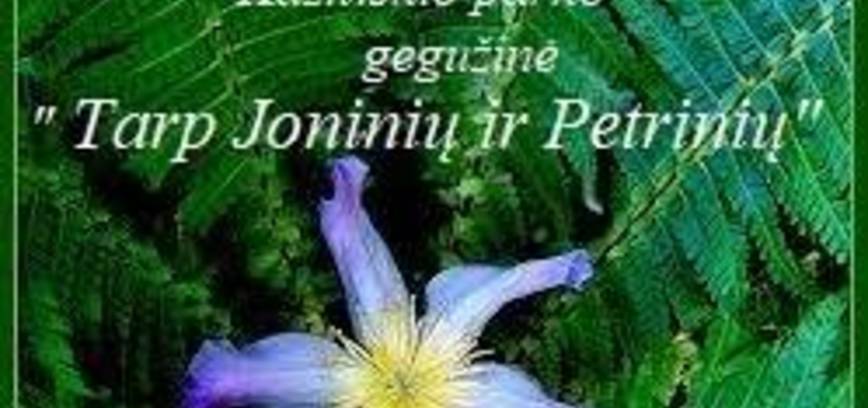 Gegužinė