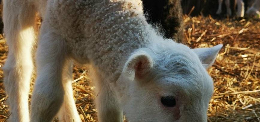 JURGI, ATVERK VARTUS!