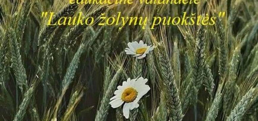 Edukacinė valandėlė „Lauko žolynų puokštės“ Kazitiškyje