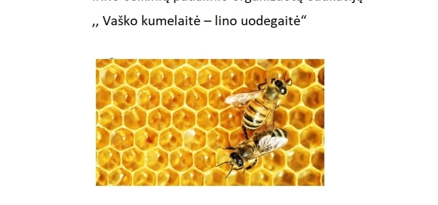 Ausbildung in Linkmenys 