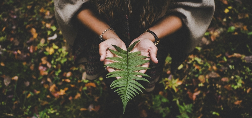 Joninės Ignalinoje ir rajone