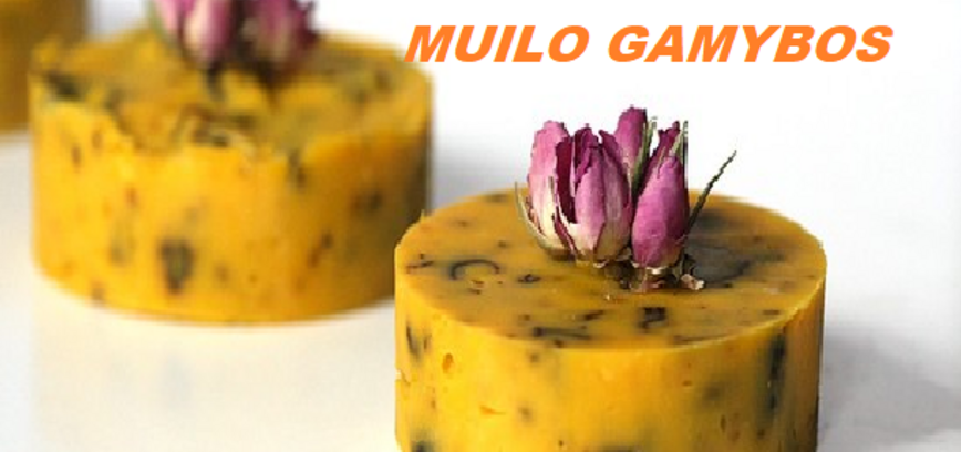 Edukacija „Muilo gamyba“ Rimšėje