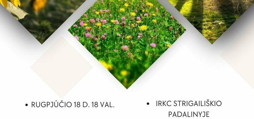Renginys „Palydėkime vasarą“ Strigailiškyje