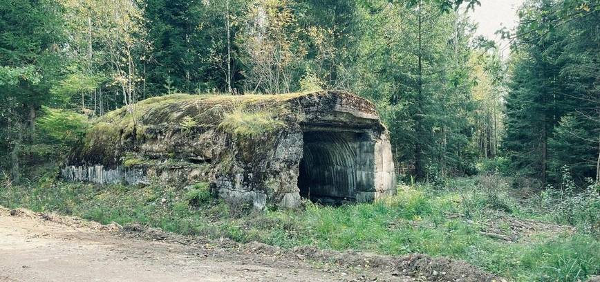 Trauk stintelę 2023 - pėsčiųjų pažintinis žygis