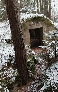 Istorijos naktis: žygis automobiliais ir pėsčiomis I-ojo pasaulinio karo pėdsakais